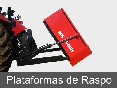 modulo plataforma raspo